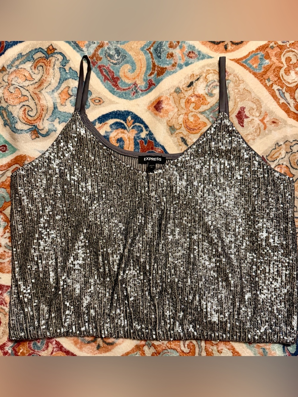Express Silver Sequin Camisole Top